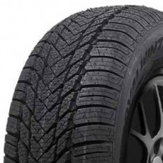 Royal Black Royal Winter HP 195/60 R 15 88H